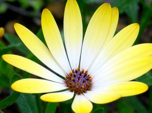 �q�����E�������̖ь��P�A